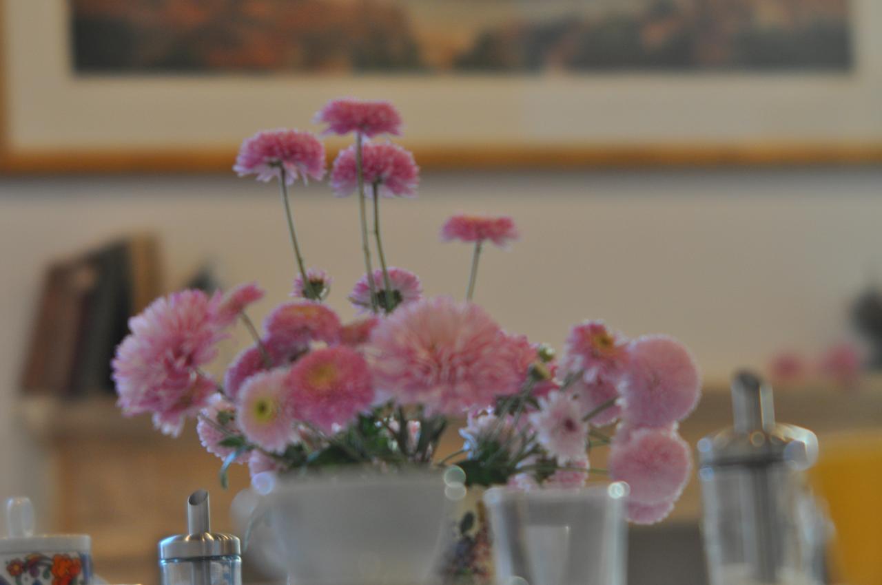 Piazza Erbe Suites 维罗纳 外观 照片